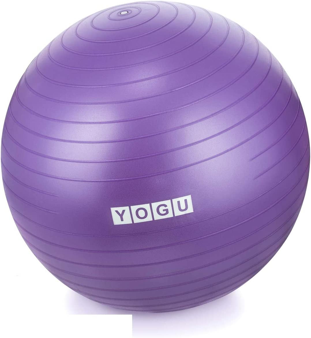 Stability Exercise Ball 65Cm Yoga Balance Ball Birthing Ball with Air Pump Anti-Slip & Anti-Burst Supports 2000Lbs Great for Yoga Pilates Abdominal Workout Fitness Ball and Office Chair